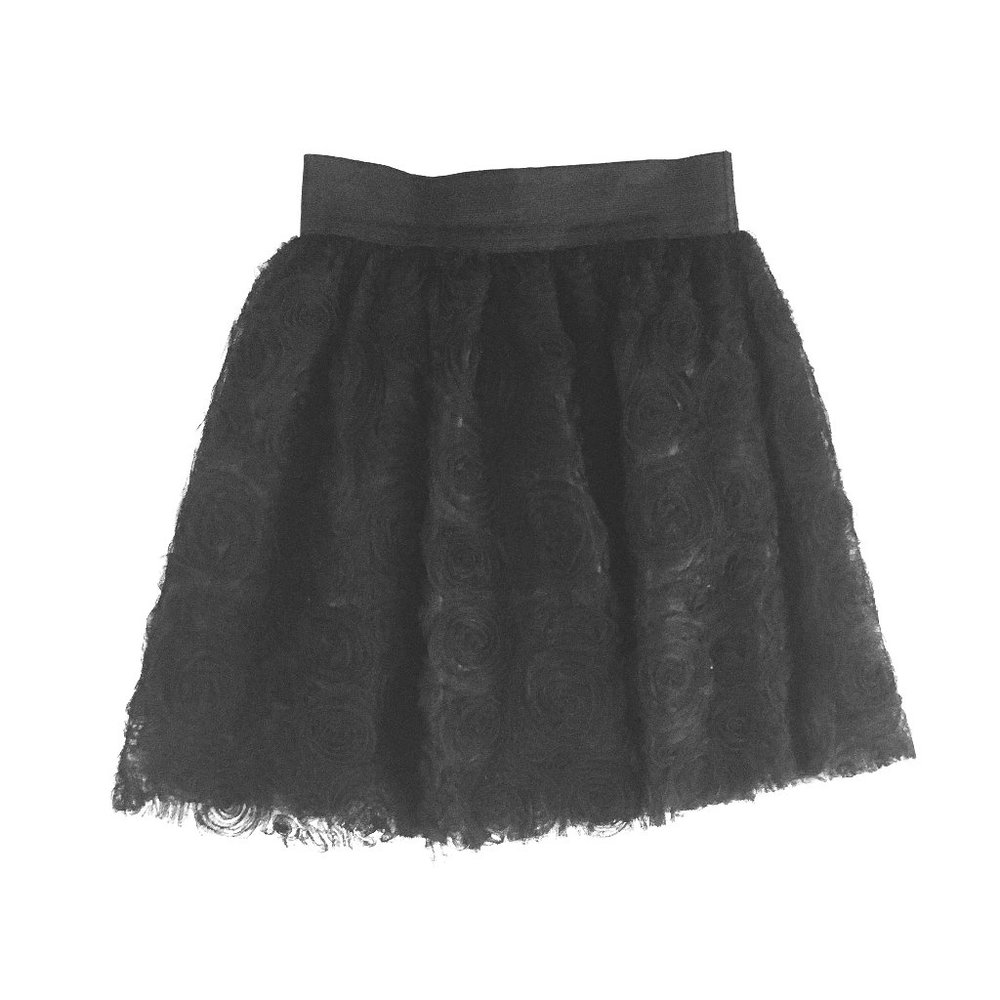 Francesca's Mini Skirt